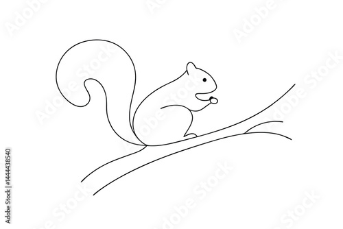 Minimalist squirrel line art illustration on a branch with nut in hand