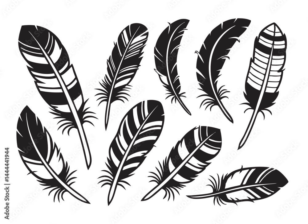Obraz premium Black and White Feathers clip art vector collection
