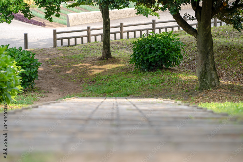 On a sunny day in Kanazawa City, Ishikawa Prefecture, Japan, colorful hydrangeas bloom in a park overlooking the city. The peaceful early summer scene is filled with greenery and clear blue skies.