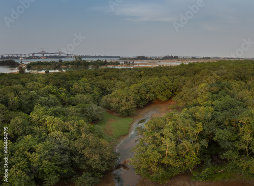 Panoramic view of Rung Ry Cha mangrove forest in central Vietnam