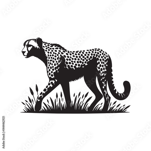 Canvas Print Tiger Vector Art
