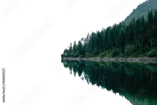 Fototapeta Naklejka Na Ścianę i Meble -  Tranquil forest reflection on serene lake at dusk, cut out