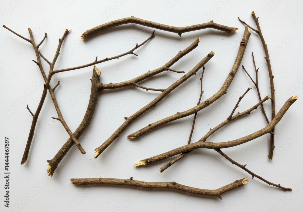 Obraz premium Scattered brown twigs with some small branches on a white surface in a studio setting for nature themes