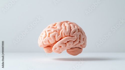 Human Brain Model Minimalist Style High-resolution Soft Lighting Side Profile View Detailed Anatomy Floating Concept White Background Peach Tones Medical Illustration photo