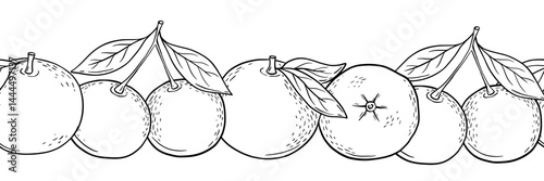 Hand drawn seamless border with mandarin, tangerine fruit. Vector isolated black and white illustration. Engraved style drawing.