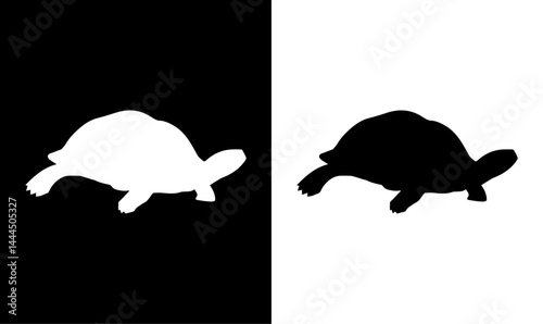 turtle silhouette set vector illustration, set, silhouette, symbol, icons, symbol, black turtle set, black, silhouettes, icons, icon, symbol, design, vector, art, abstract, sea, animal silhouette, 