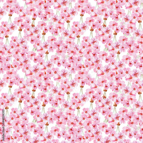 Watercolor seamless pattern drawing with branches and cherry blossoms