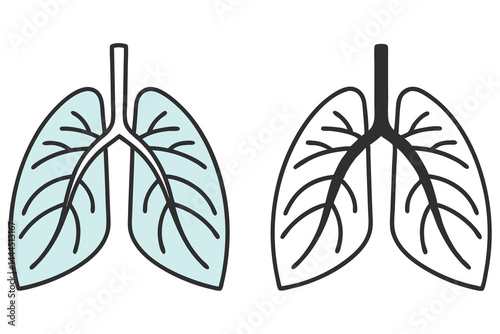 Two lung vectors showing pulmonary anatomy with different color schemes display transparent background