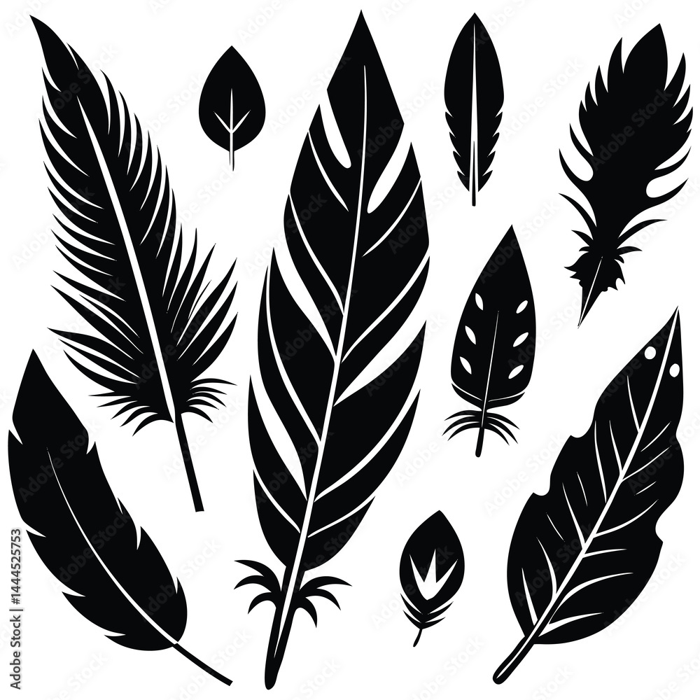 Obraz premium Black Silhouette Feather Collection