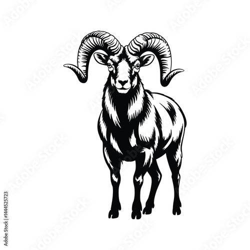 A simple bighorn sheep vector artwork illustration


