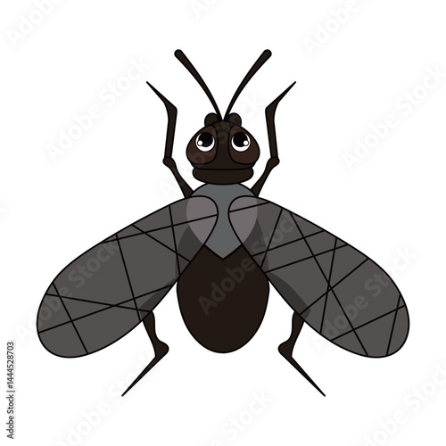 Black fly with wings vector illustration
