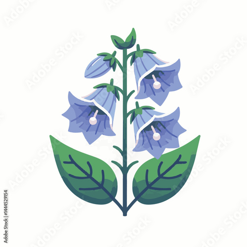 flower, bellflower, summer, plant, botanical, purple, spring, blossom, blue, floral, illustration, green, flora, campanula, isolated, bloom, leaf, bell, background, bluebell, nature, design, bouquet, 