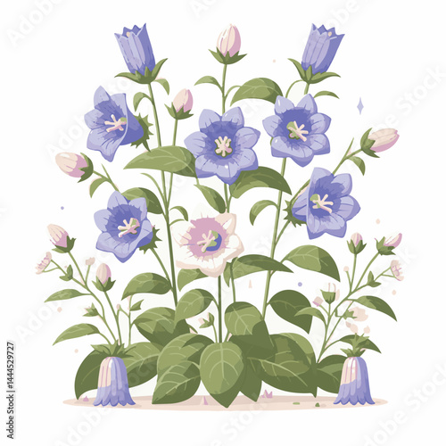 flower, bellflower, summer, plant, botanical, purple, spring, blossom, blue, floral, illustration, green, flora, campanula, isolated, bloom, leaf, bell, background, bluebell, nature, design, bouquet, 