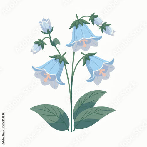 flower, bellflower, summer, plant, botanical, purple, spring, blossom, blue, floral, illustration, green, flora, campanula, isolated, bloom, leaf, bell, background, bluebell, nature, design, bouquet, 