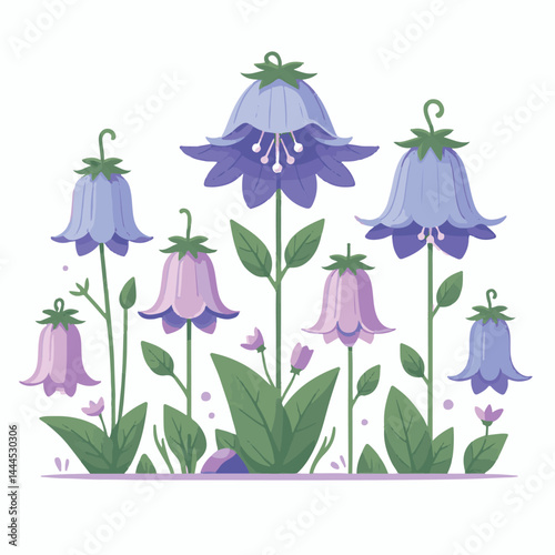 flower, bellflower, summer, plant, botanical, purple, spring, blossom, blue, floral, illustration, green, flora, campanula, isolated, bloom, leaf, bell, background, bluebell, nature, design, bouquet, 