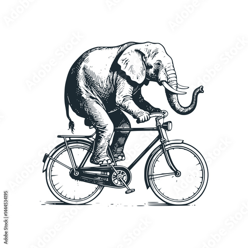 Elephant riding a bicycle – Black and White Icon Vector and Illustration