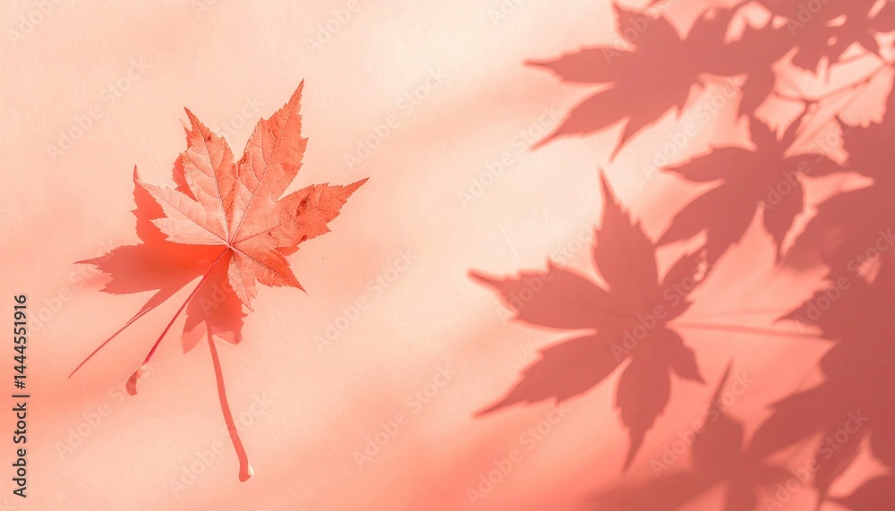 Falling red maple leaf serene autumn garden nature photography calm environment close-up view seasonal beauty Falling red maple leaf serene autumn garden nature photography calm environment close-up view seasonal beauty
