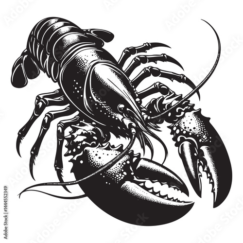 Seafood lobster vector silhouette illustration