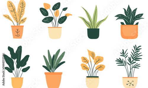 Doodle Style Houseplants Collection in Flowerpots Vector Illustration