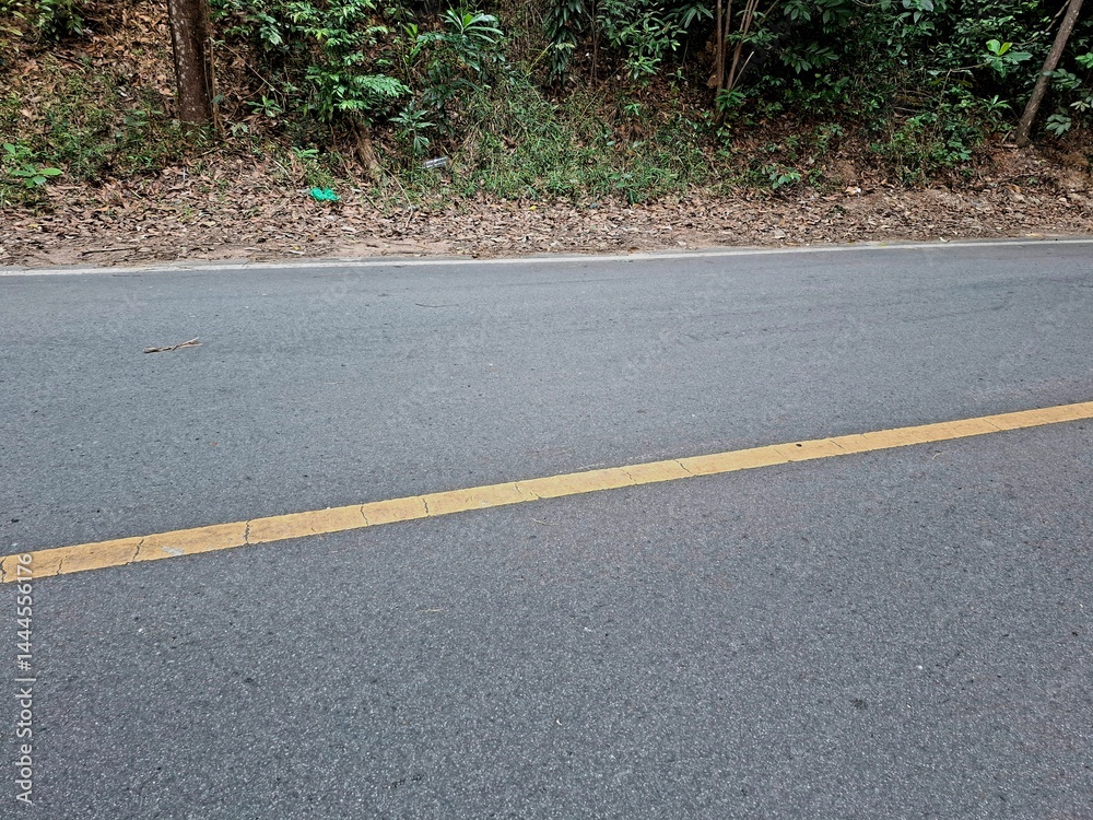 Obraz premium A nice and cool highway, under the shady tropical forest trees.