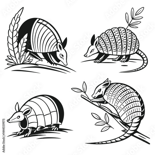 Armadillo Illustration, Isolated Black and White Line Art, Wildlife Mammals in Various Poses