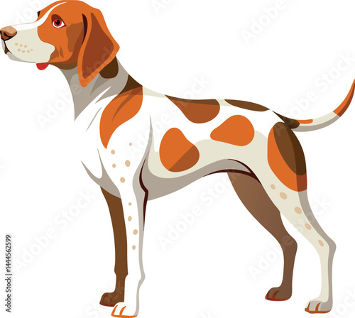 Hunting dog Vector 