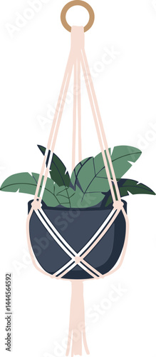 Bohemian Macrame Plant Hanger with Potted Plant for Indoor Decor