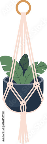 Bohemian Macrame Plant Hanger with Potted Plant for Indoor Decor