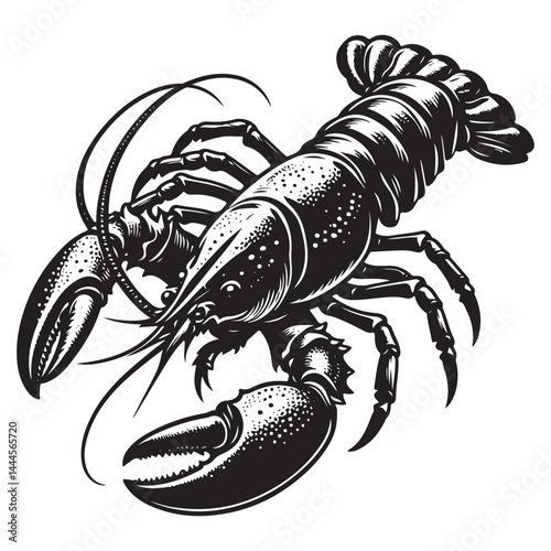 Seafood lobster vector silhouette illustration