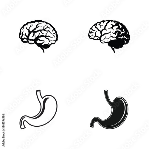 Vector Human Organs Silhouette – Brain & Stomach Icons.