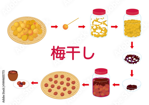 梅干し作り