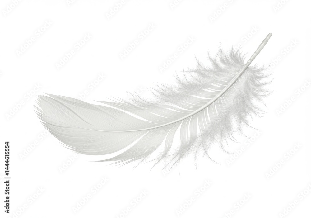 Obraz premium Single white feather isolated on white background