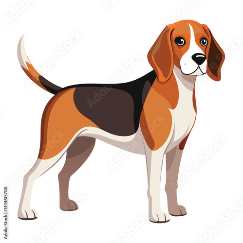 Beagle Hunting Dog Vector illustration 