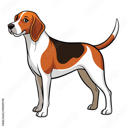 Beagle Hunting Dog Vector illustration 