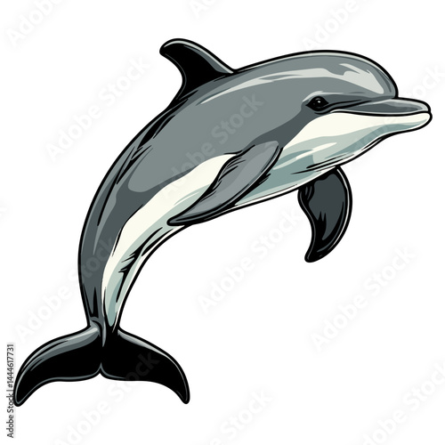 Dolphin, marine life, vector, transparent background