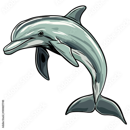 Dolphin, marine life, vector, transparent background