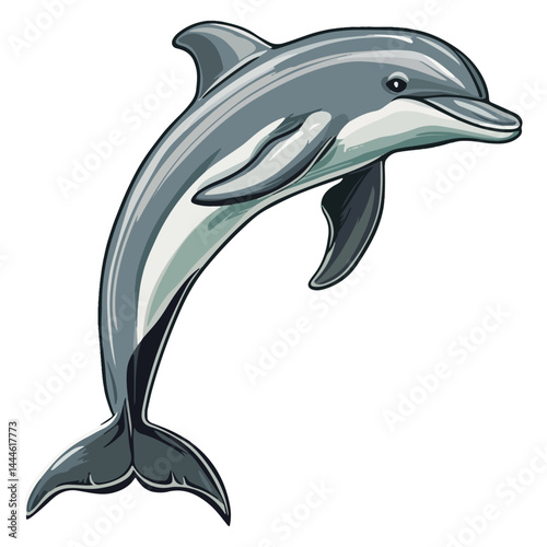 Dolphin, marine life, vector, transparent background
