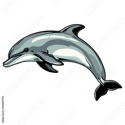 Dolphin, marine life, vector, transparent background