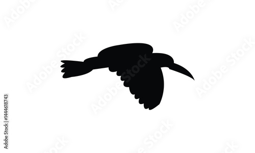Flying African skimmer bird Silhouette Design  And Vector Illustration. 
