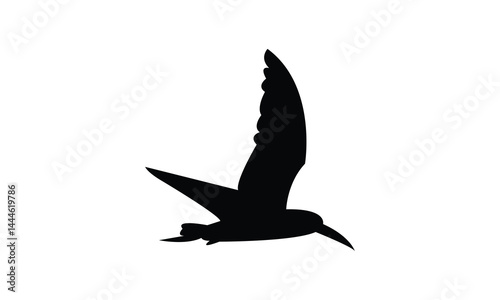 Flying African skimmer bird Silhouette Design  And Vector Illustration. 