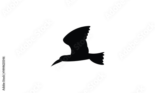 Flying African skimmer bird Silhouette Design  And Vector Illustration. 