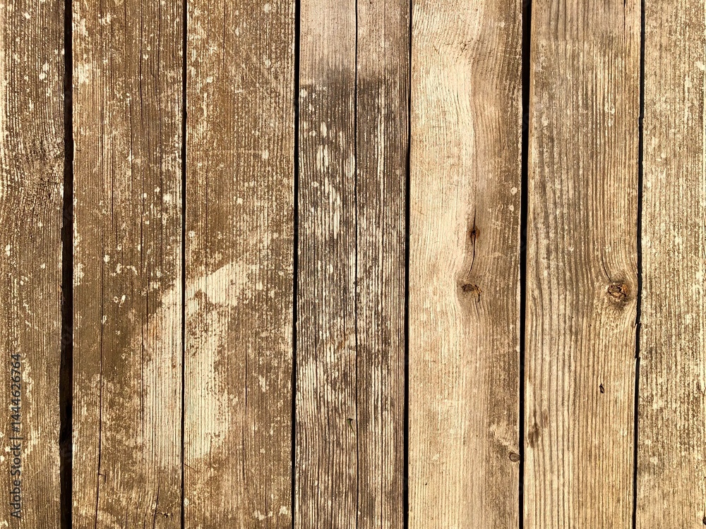 Fototapeta premium old grey boards background for your design
