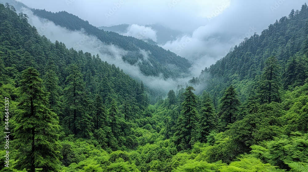 Fototapeta premium Emerald valley shrouded in ethereal mist