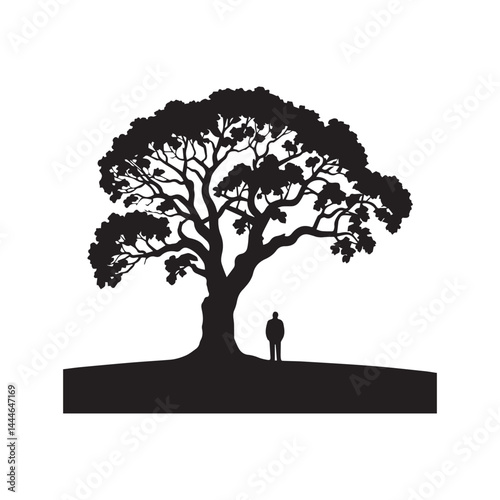 tree silhouette isolated on white