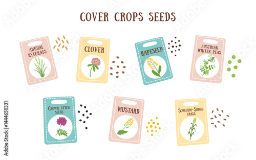 Set of cover crops seeds isolated on white. Sustainable and regenerative farming concept. Vector hand drawn flat cliparts.