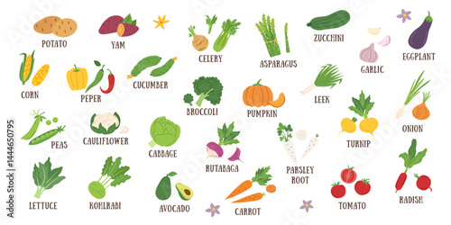 Set of vegetables cliparts isolated on white background. Gardening, food, healthy eating and harvest concept. Vector flat hand drawn illustration.