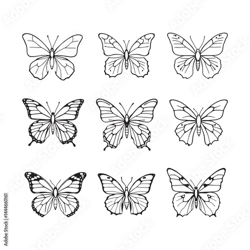 Wallpaper Mural Beautiful butterfly flying illustration in linear sketch Torontodigital.ca