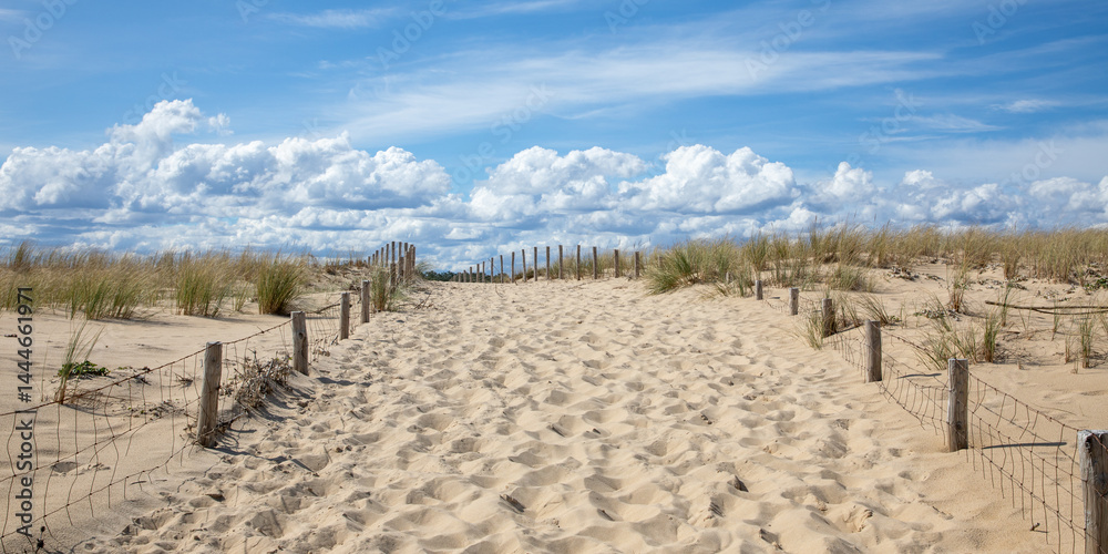 sand dunes ocean pathway access to beach in lege cap ferret sea atlantic coast in southwest gironde france
