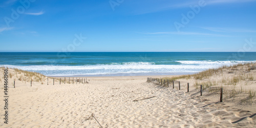 sand ocean pathway access in summer to beach le grand crohot in lege cap ferret sea atlantic coast in southwest gironde france
