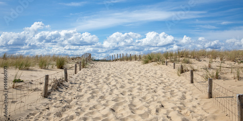 sand dunes ocean pathway access to beach in lege cap ferret sea atlantic coast in southwest gironde france